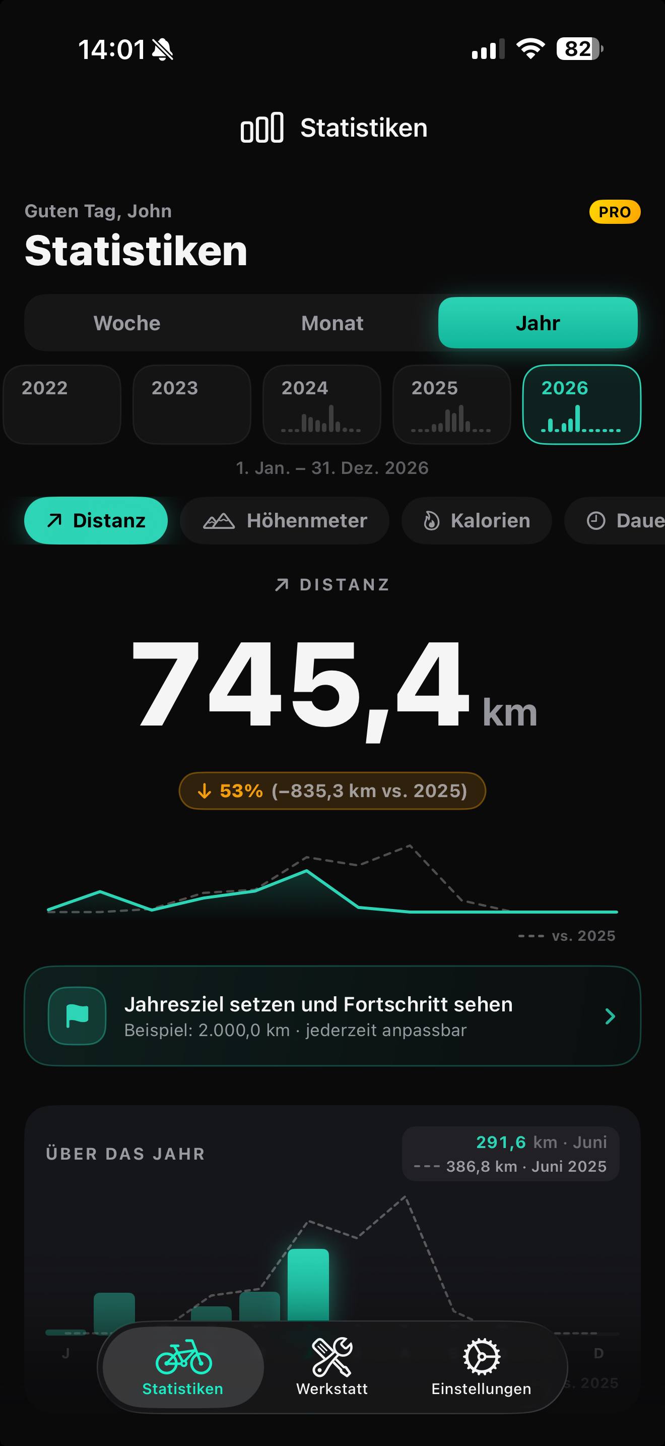 Ride Streak Statistik-Tab mit Jahresdistanz, Vergleich zum Vorjahr und Jahresziel